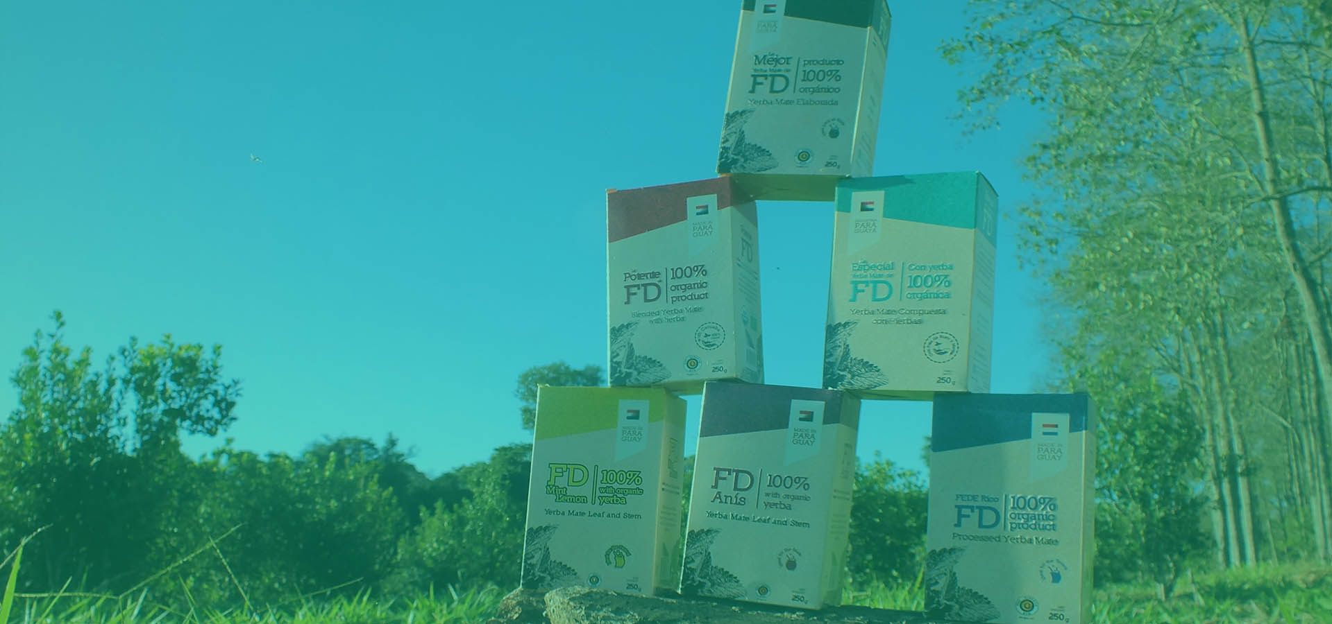 Yerba Mate FD, producto orgánico paraguayo con calidad de exportación